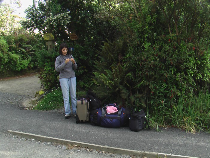 Waiting for Stewart Island transportation